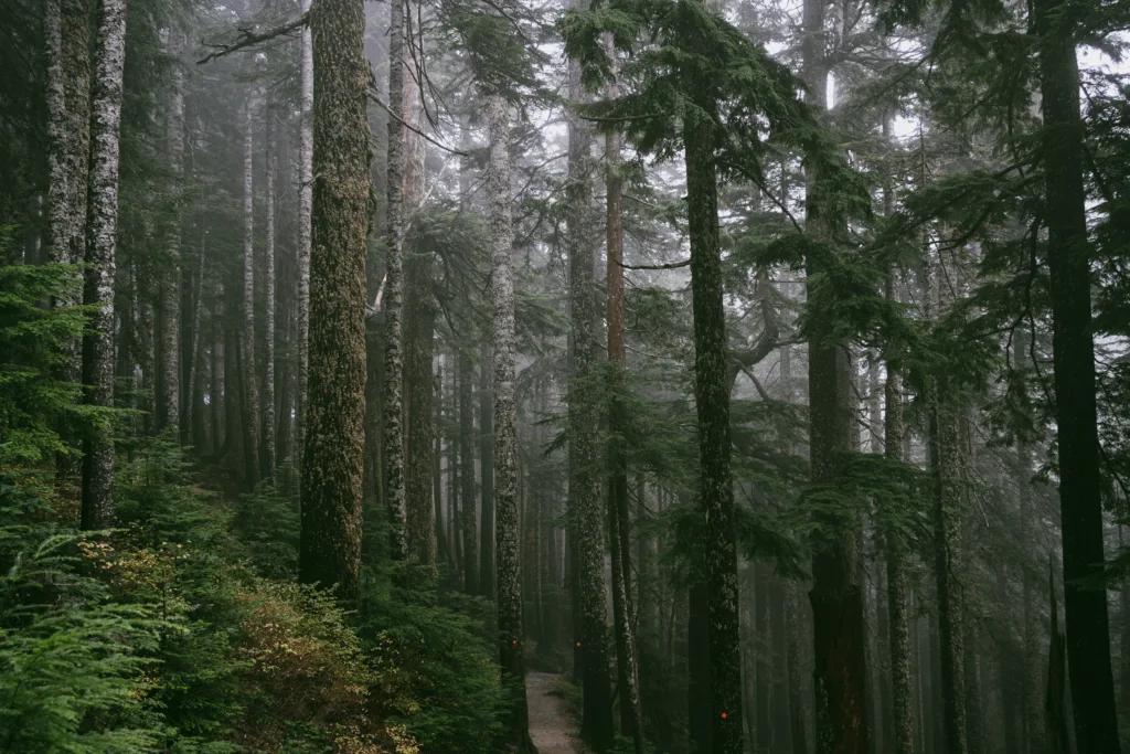 How Do I Deal With Homesickness? How Do I Deal With Homesickness?