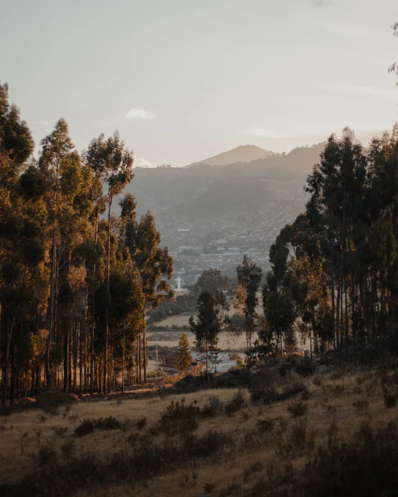What Are Some Tips For Eco-friendly Travel?