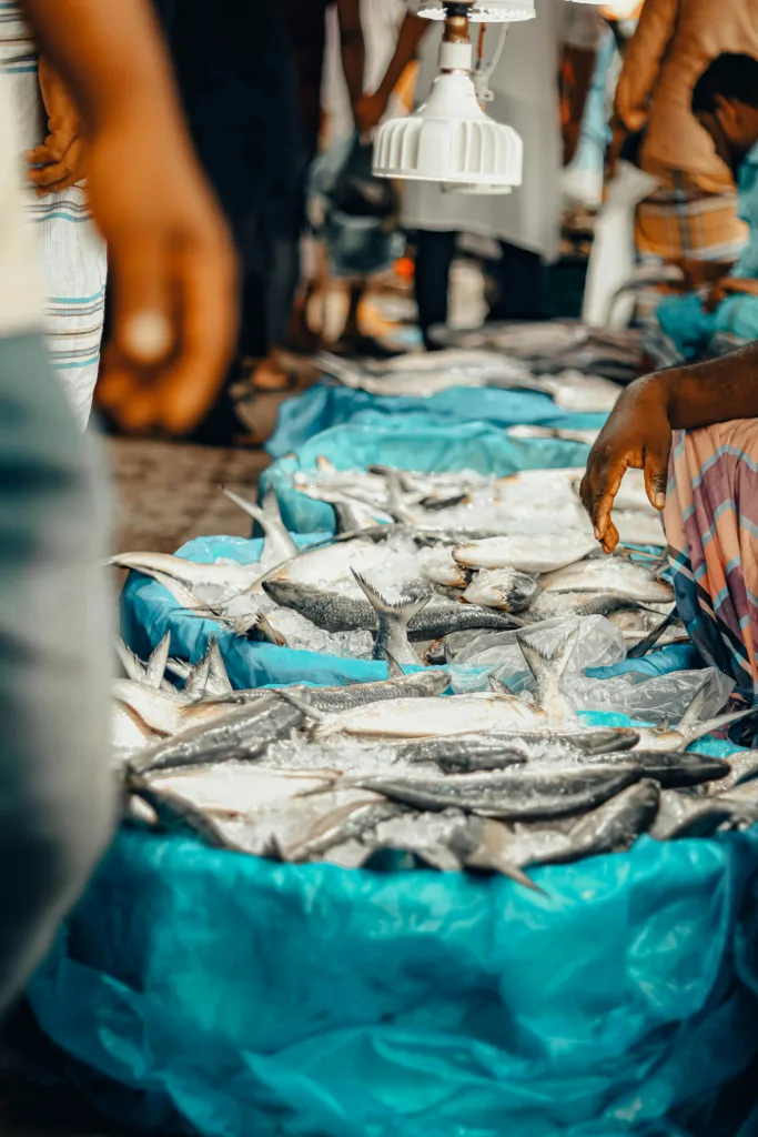 What Are The Customs Regulations For Importing Certain Goods? What Are The Customs Regulations For Importing Certain Goods?