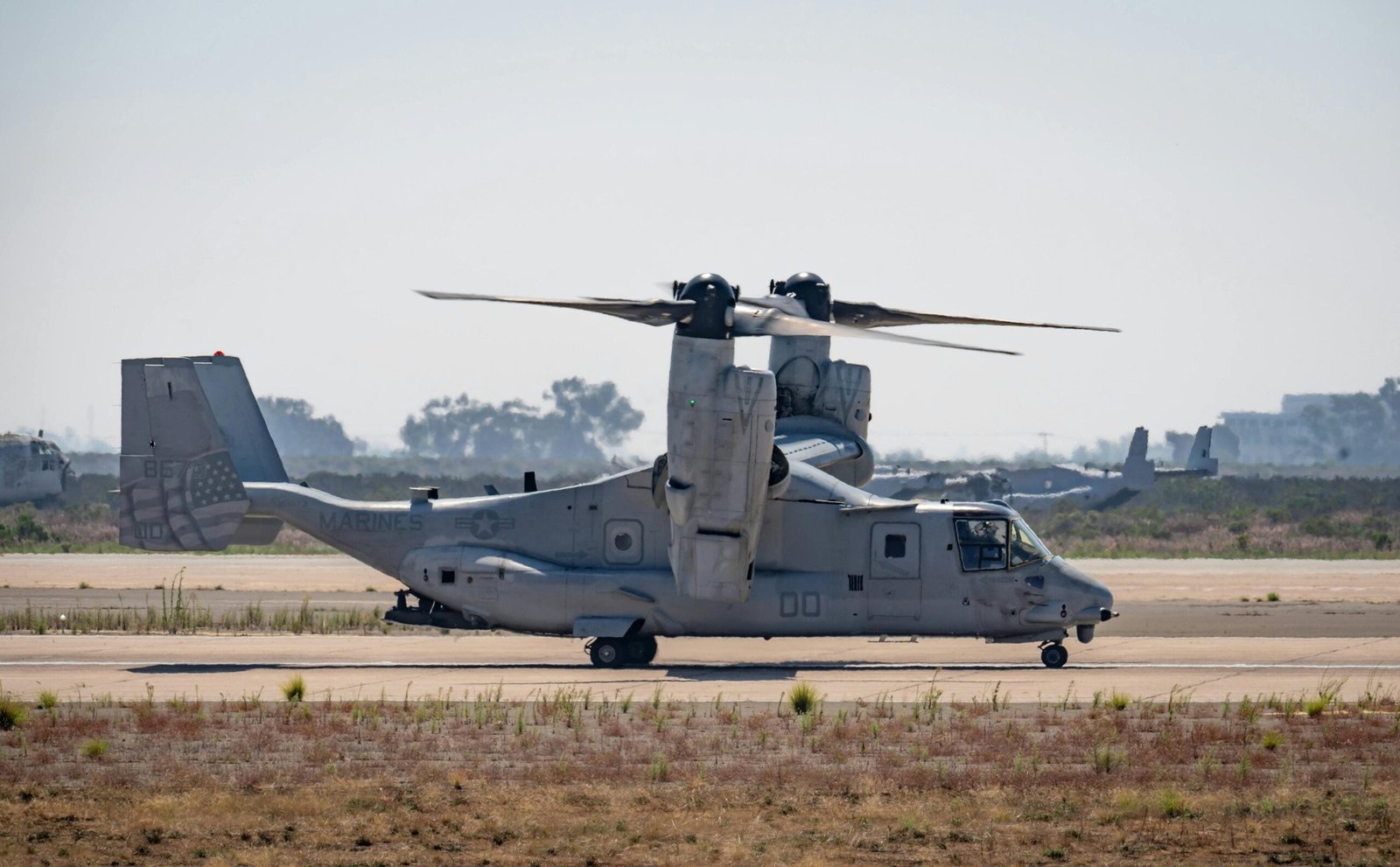 How Do I Find Travel Companions Or Groups?