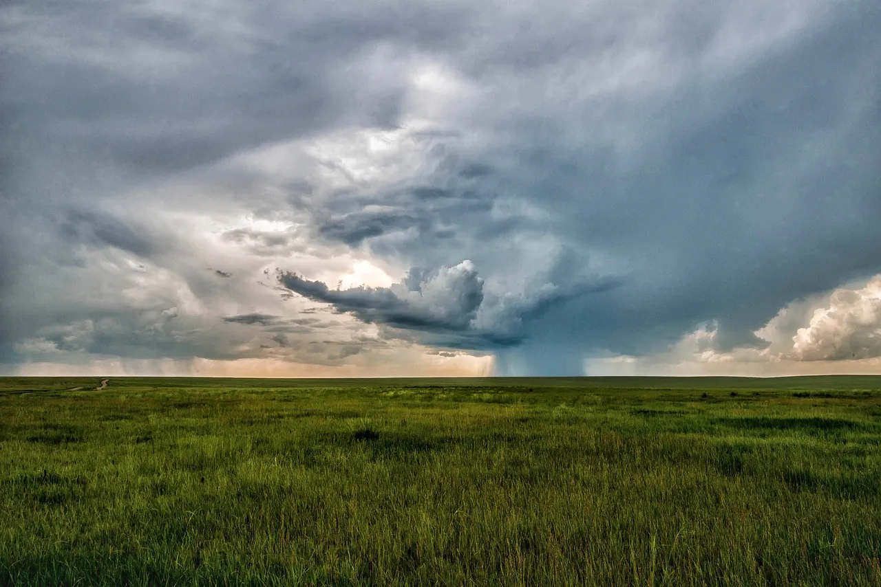 Exploring the Untamed: A Wilderness Safari in Mongolia