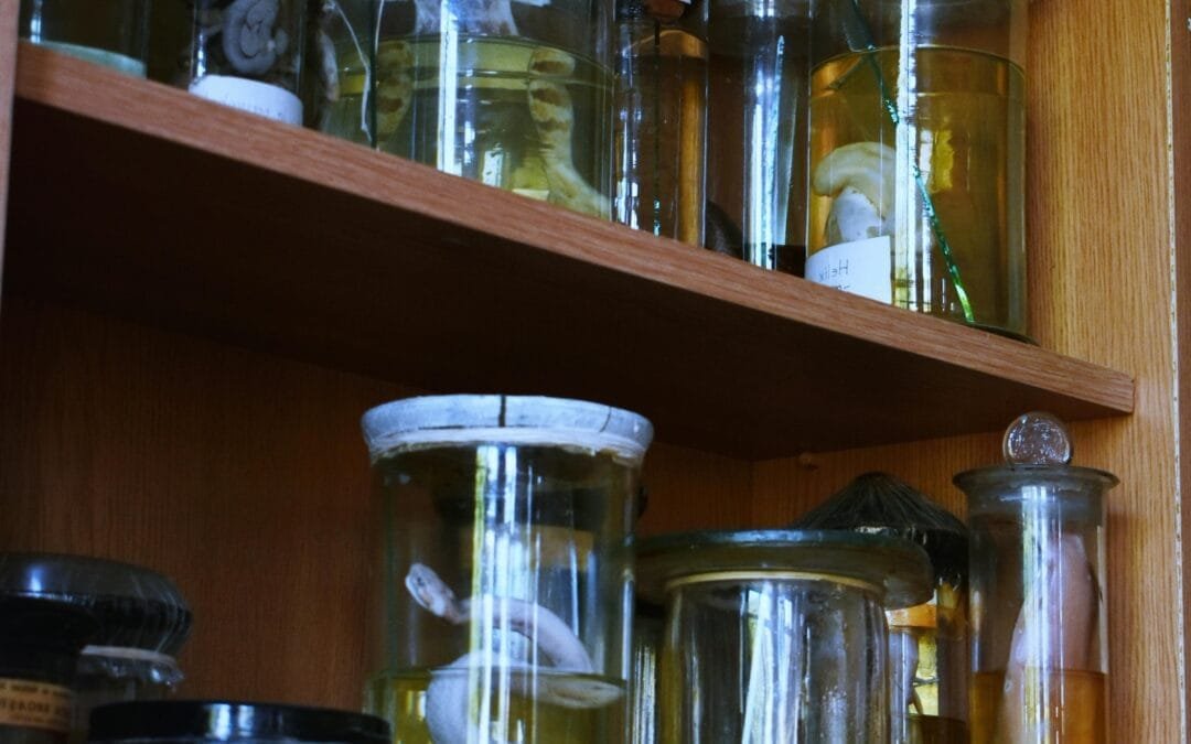 Unusual Travel Packages You’ve Never Heard Of