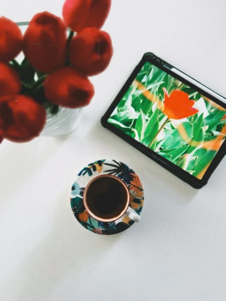 Finding Peace: Digital Detox Retreats for the Overwhelmed Finding Peace: Digital Detox Retreats for the Overwhelmed