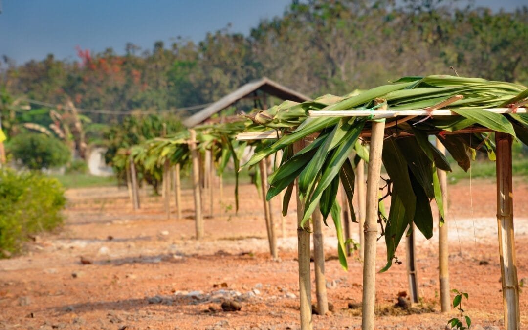 Mindful Travel: Connecting with Nature in Unexpected Ways