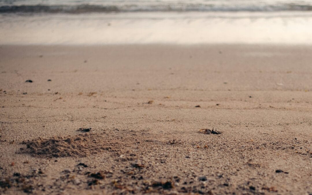 Uncovering Remote Island Escapes You’ve Never Heard Of