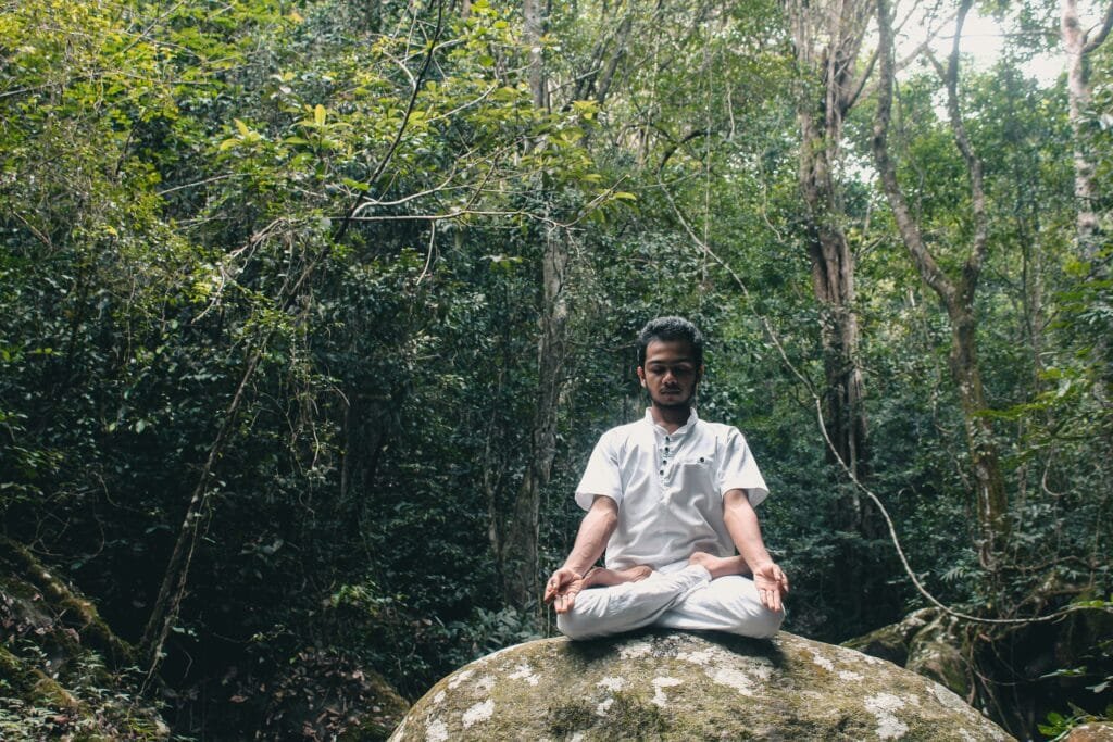 Discovering the Art of Forest Bathing While Traveling: A Guide
