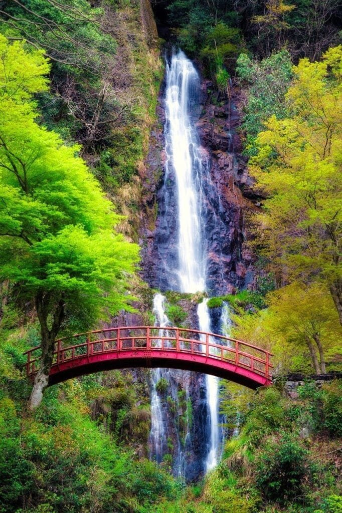 The Best Travel Destinations for Pet Owners: Where Adventure Awaits