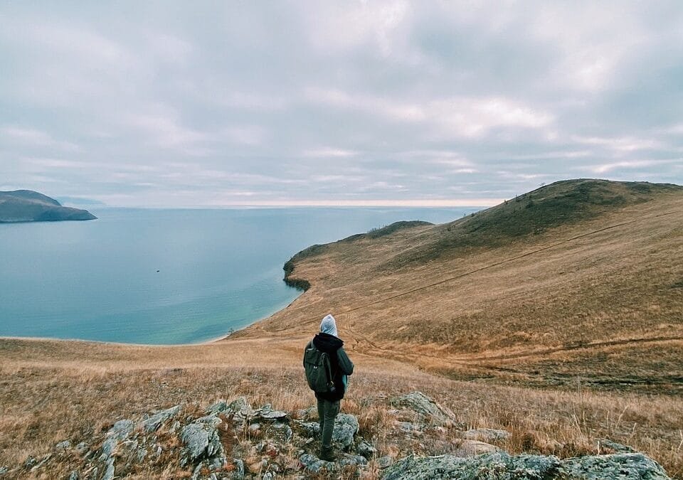 The Best Travel Destinations for Pet Owners: Where Adventure Awaits