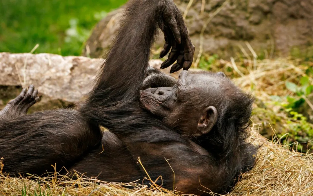 Farm-to-Table Travel: Discovering Culinary Origins of Sustainable Urban Gardening