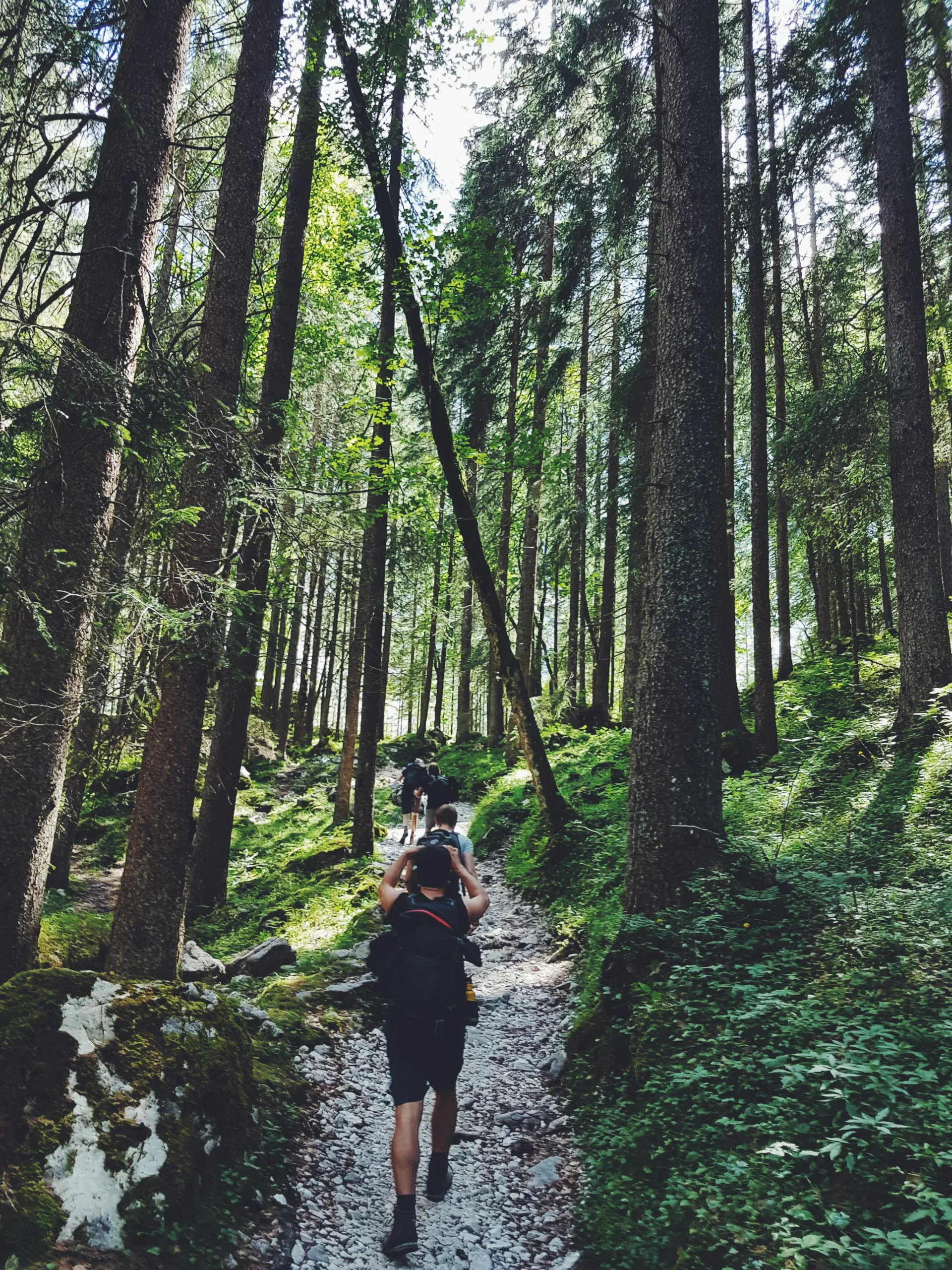 Epic Hikes to Explore on Your Bucket List Epic Hikes to Explore on Your Bucket List