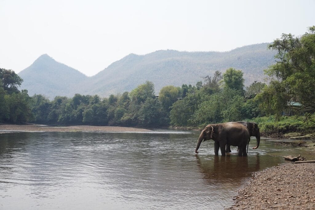 Off-Season Adventures in Southeast Asia: Lower Prices, Fewer Crowds Off-Season Adventures in Southeast Asia: Lower Prices, Fewer Crowds