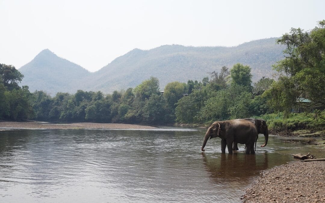 Off-Season Adventures in Southeast Asia: Lower Prices, Fewer Crowds