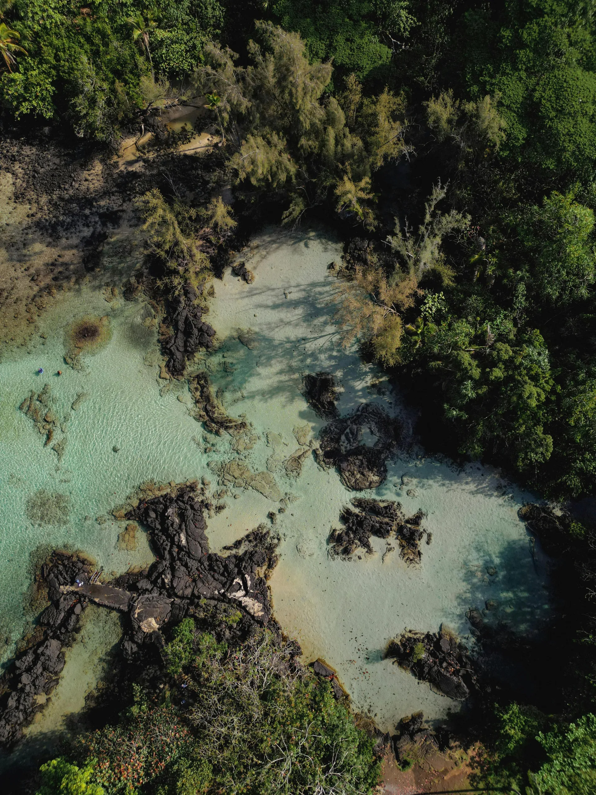 Southeast Asia Travel Mastery: From Flights to Food Tips