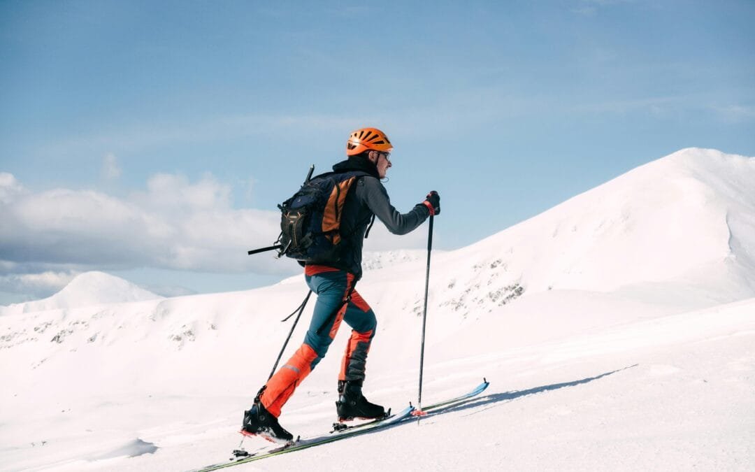 Why Antarctic Cruises Are Gaining Popularity Among Adventurers