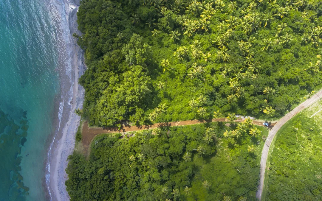 Eco-Adventures for the Conscious Traveler