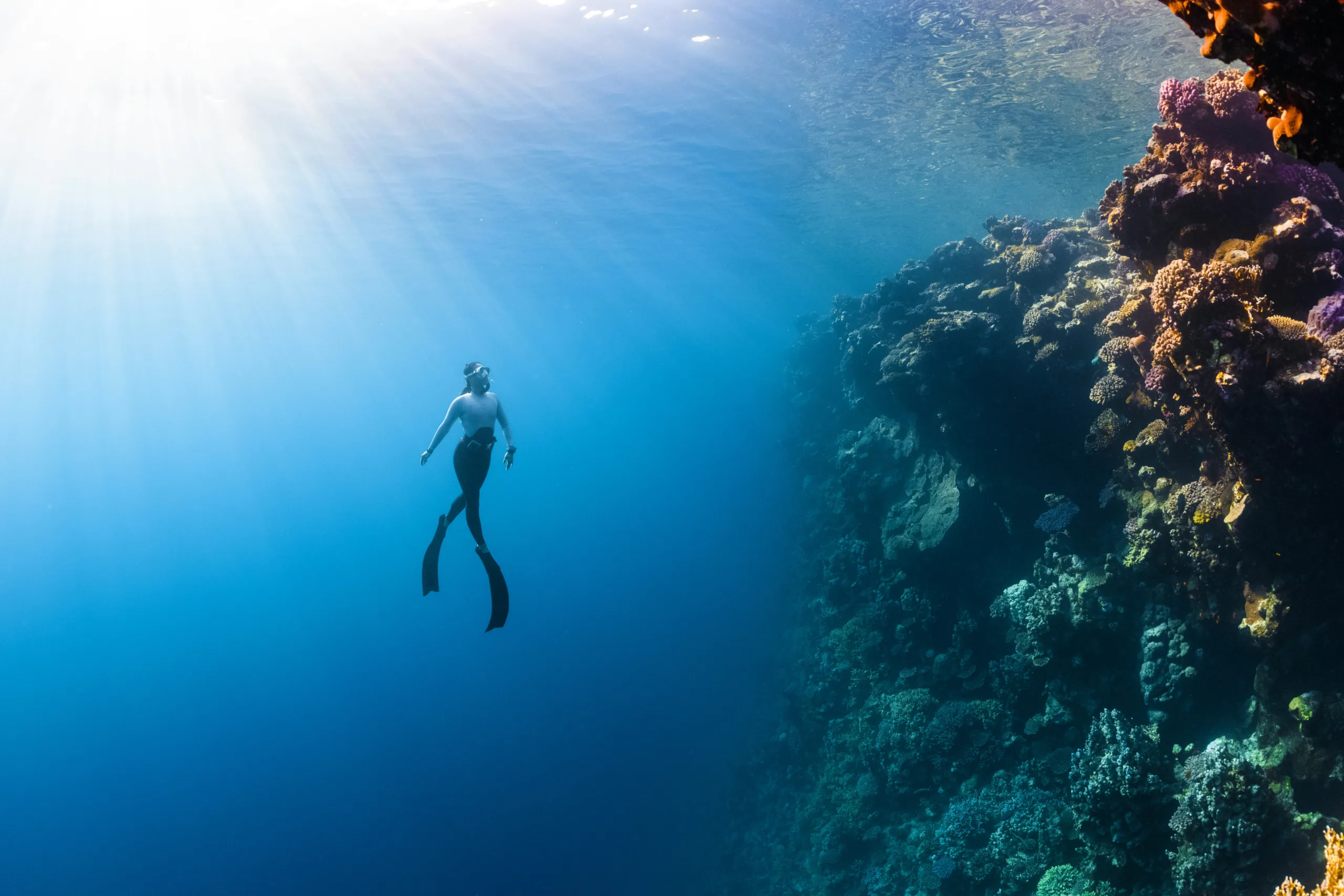 Exploring the Depths of Submarine Tourism: A Rising Adventure Exploring the Depths of Submarine Tourism: A Rising Adventure