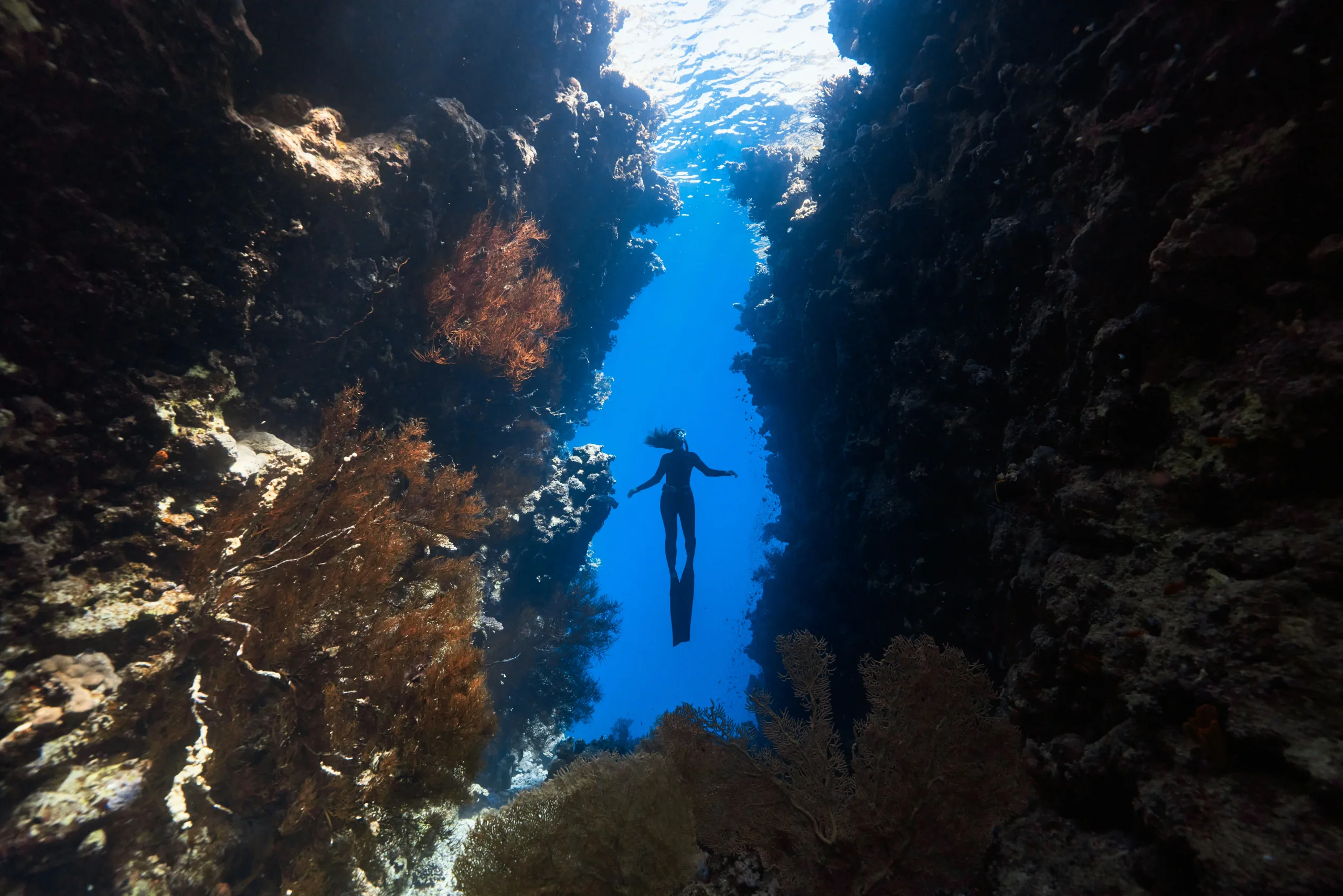 Exploring the Depths of Submarine Tourism: A Rising Adventure Exploring the Depths of Submarine Tourism: A Rising Adventure