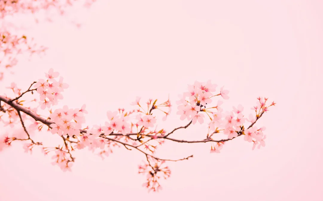 Hidden Spring Destinations: Small Town Walks Among Blossoms