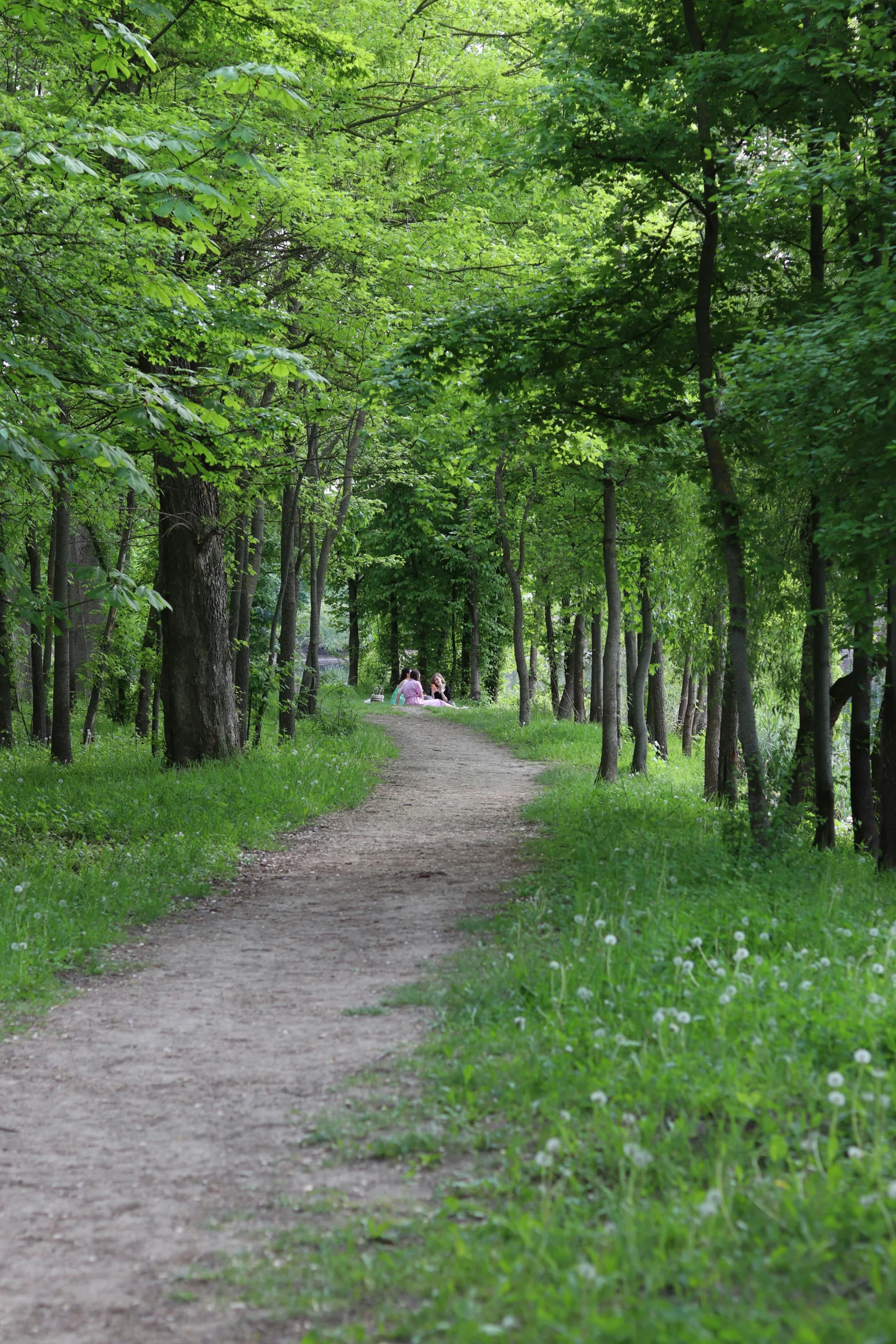 Secluded Beach Getaways for a Peaceful Summer Escape Secluded Beach Getaways for a Peaceful Summer Escape