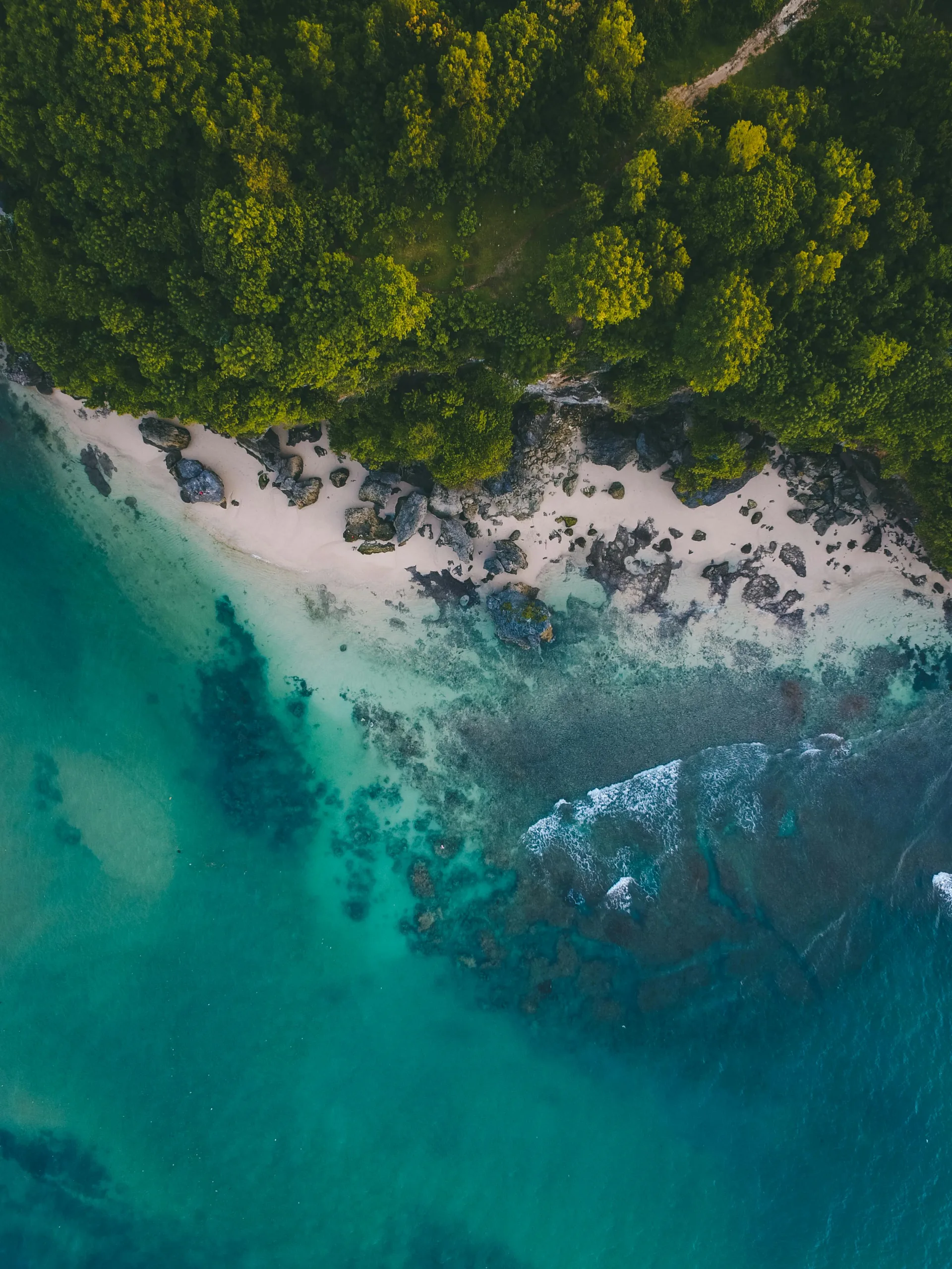 The Rise of Minimalist Travel: Embracing the Art of Packing Light The Rise of Minimalist Travel: Embracing the Art of Packing Light