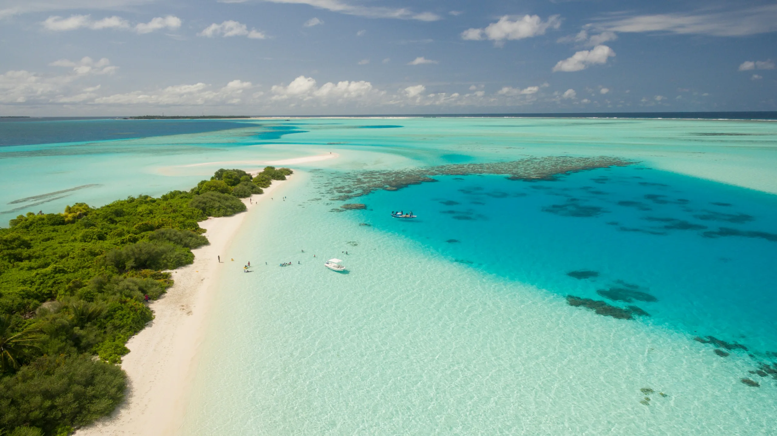 This Summers Top 5 Beaches: Book Now or Wait? This Summers Top 5 Beaches: Book Now or Wait?
