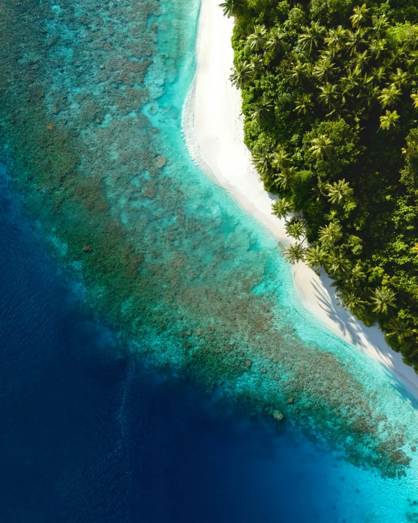 Why Culture-Driven Travel Is Gaining Popularity Why Culture-Driven Travel Is Gaining Popularity