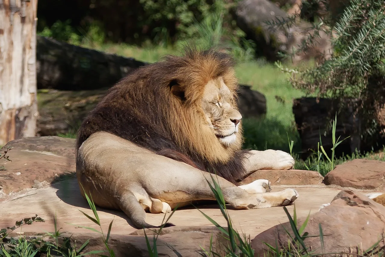 Unforgettable Wildlife Encounters During Your Travels Unforgettable Wildlife Encounters During Your Travels