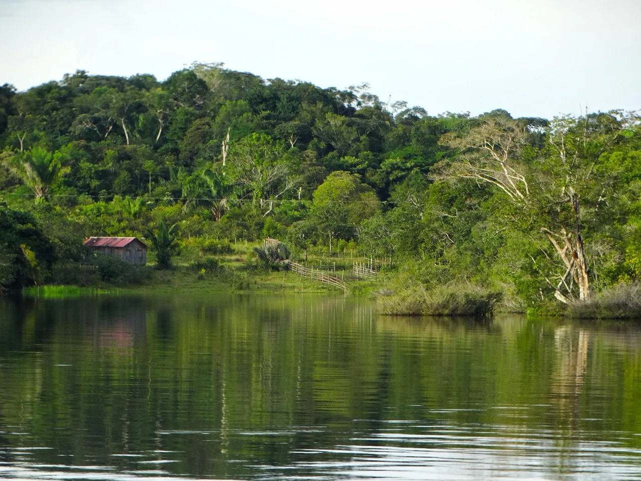 Amazon Basin Floating Lodges
