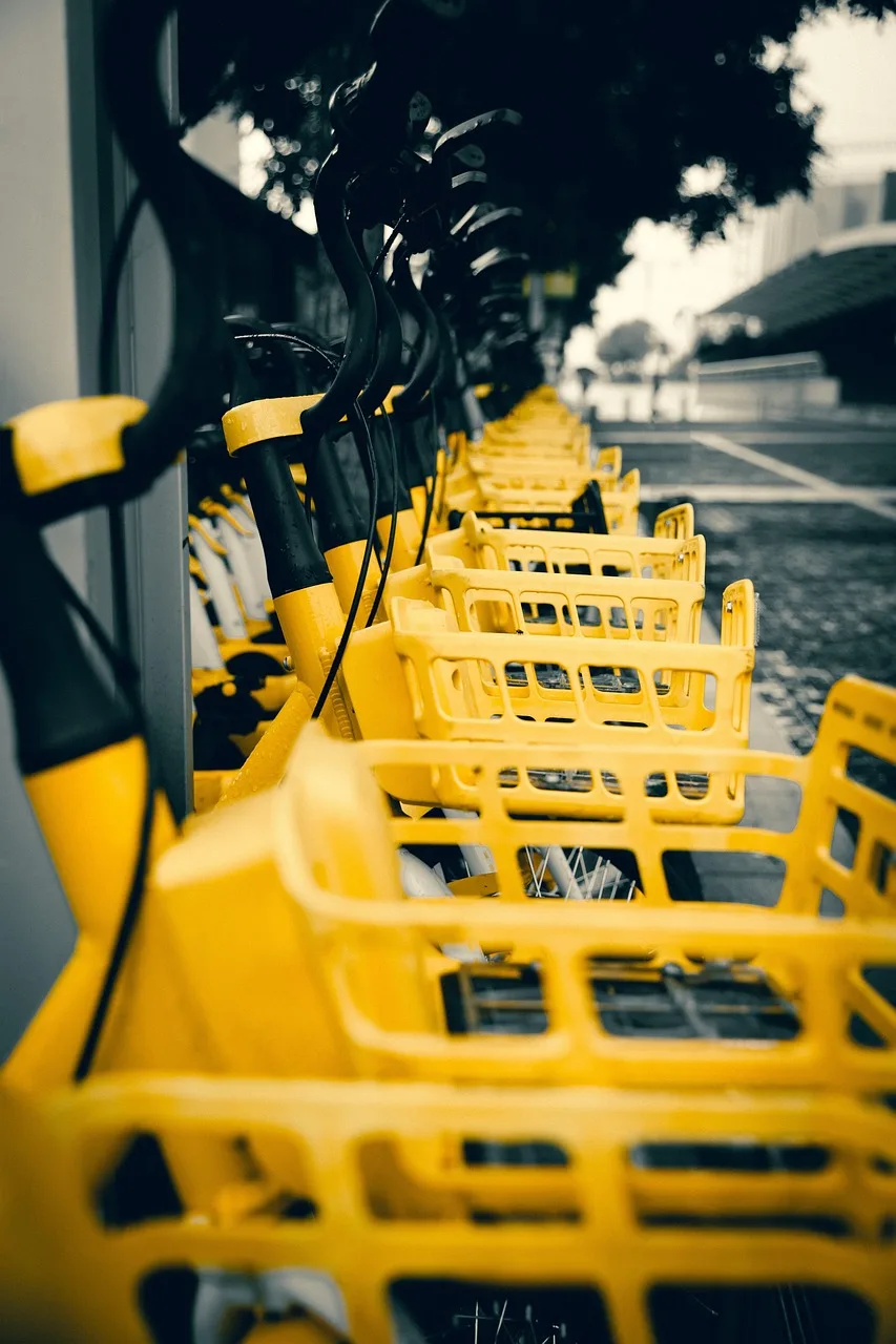 Transportation and Connectivity Options