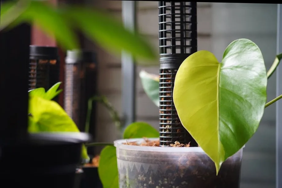 스마트한 여행을 위한 테크 솔루션과 준비물