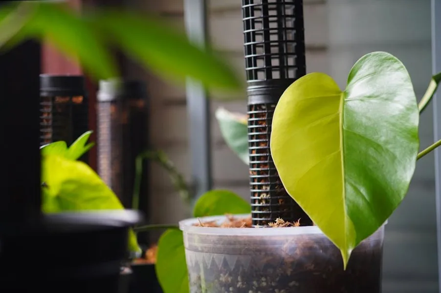 디지털 노마드를 위한 워케이션 숙소 선택 가이드